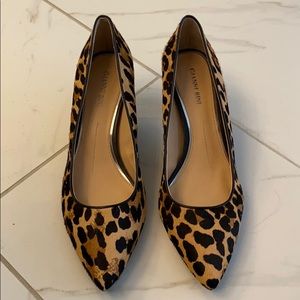 New Gianni Bini Leopard Kitten Heels